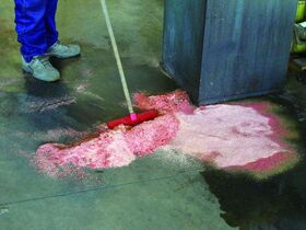 DUS100 - SACCHI POLVERE ASSORBENTI PER LIQUIDI UNIVERSALI IGNIFUGO - Antinfortunistica